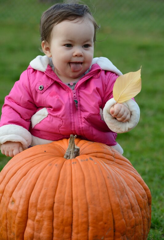 SPANGDAHLEM AIR BASE, Germany – Chloe Rodriguez, daughter of U.S. Air Force Tech. Sgt. Bernaby Rodriguez, 606th Air Control Squadron vehicle maintainer from San Benito, Texas, selects her pumpkin at the child development center pumpkin patch Oct. 24, 2013. The CDC held a pumpkin patch event for all the children in their care, and parents were encouraged to come out and enjoy the time with their children. (U.S. Air Force photo by Staff Sgt. Christopher Ruano/Released)