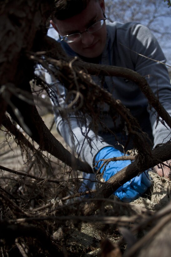 Cpl. Steven Timmons, Headquarters and Headquarters Squadron special intelligence systems administrator, picks up trash during the Kintai Bridge cleanup, which took place next to the bridge March 23, 2013. Participants used rubber gloves and plastic bags while venturing out to collect all the trash they could find.