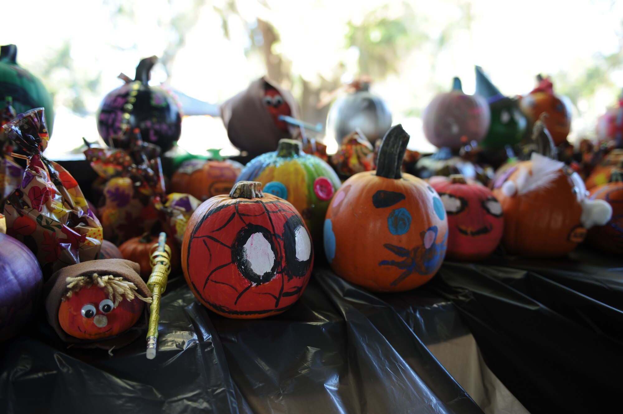 Painted pumpkins are displayed for the Ghouls in the Park event at the marina park Oct. 25, 2013, Keesler Air Force Base, Miss. Various sponsors and private organizations from the base provided support and entertainment for the event, including “Trunk or Treat” by the Keesler Spouses Club, a haunted house by the Airman’s Council, and free popcorn provided by Keesler Federal Credit Union. (U.S. Air Force photo by Airman 1st Class Stephan Coleman)