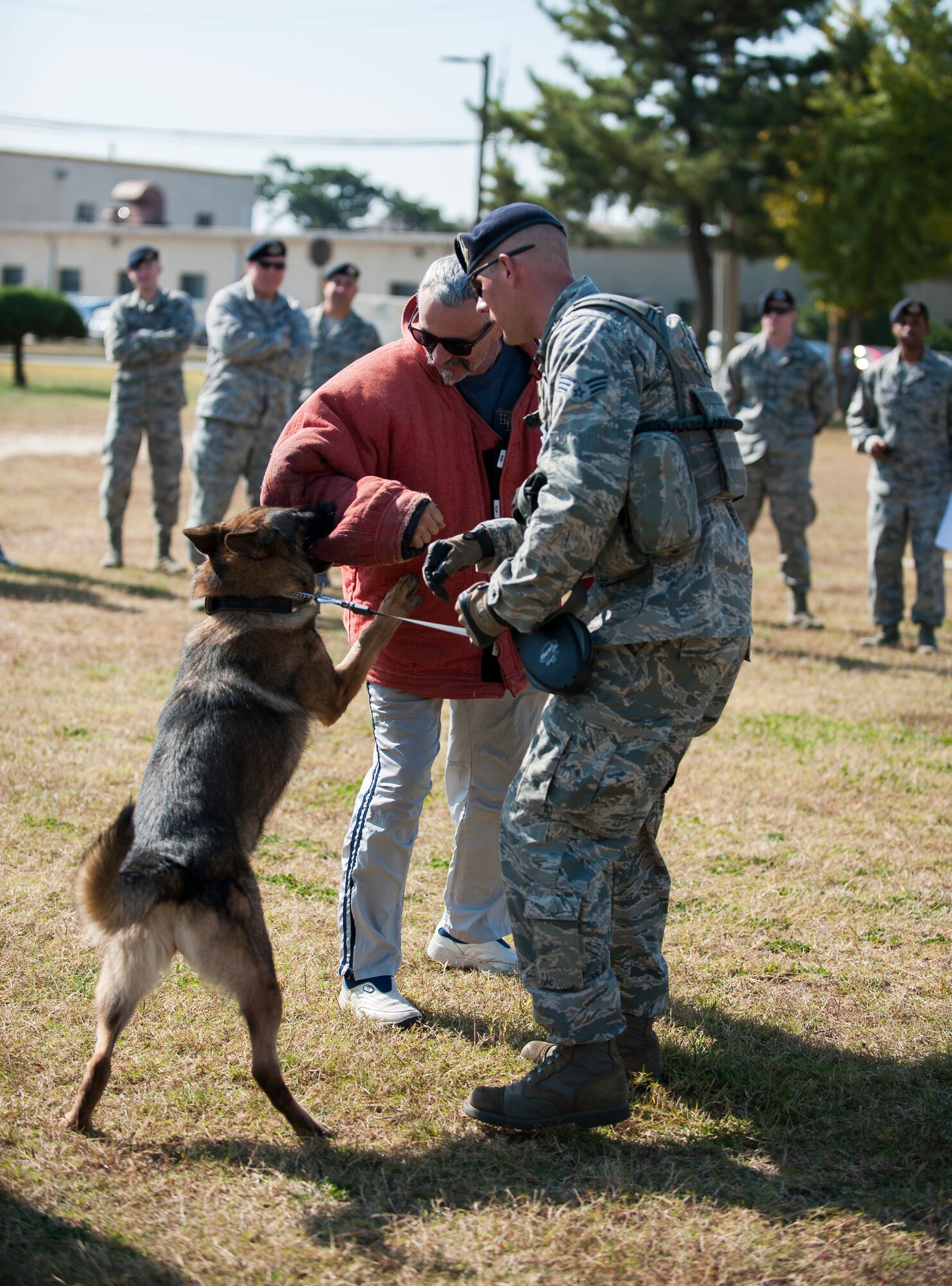 Country music artist Aaron Tippin takes part in a military working dog demonstration  at Kunsan Air Base, Republic of Korea, Oct. 25, 2013. Tippin performed at several military bases around Korea in a tour sponsored by Armed Forces Entertainment and Stars for Stripes. (U.S. Air Force photo by Senior Airman Clayton Lenhardt/Released)