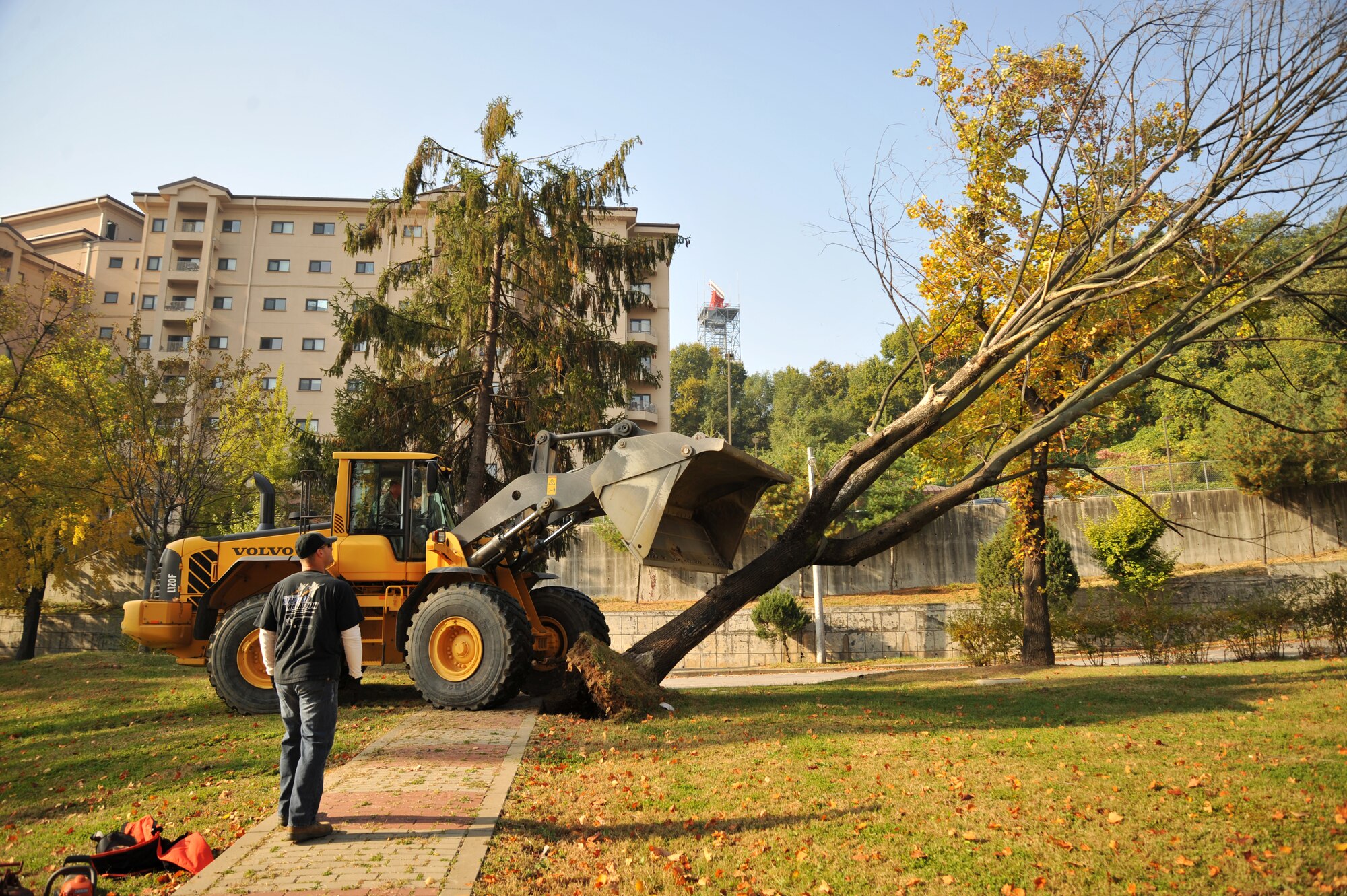 Tech. Sgt. Timothy Barley, 51st Civil Engineer Squadron heavy equipment operator, takes down a tree at Mustang Valley Park at Osan Air Base, Republic of Korea, Oct. 26, 2013. Members of the 51st CES removed safety hazards around the park by using heavy equipment to take down dead trees that could topple over in the next big wind storm. (U.S. Air Force photo/Staff Sgt. Emerson Nuñez)