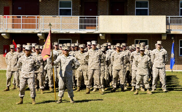 Marines and sailors with Fox Company, 2nd Battalion, 2nd Marine Regiment, stand in formation during the ceremony where 10 Marines and one sailor was awarded from their company for their actions in Afghanistan in support of Operation Enduring Freedom Oct. 24, 2013.  (Official U.S. Marine Corps photo by Lance Cpl. Michael C. Dye)