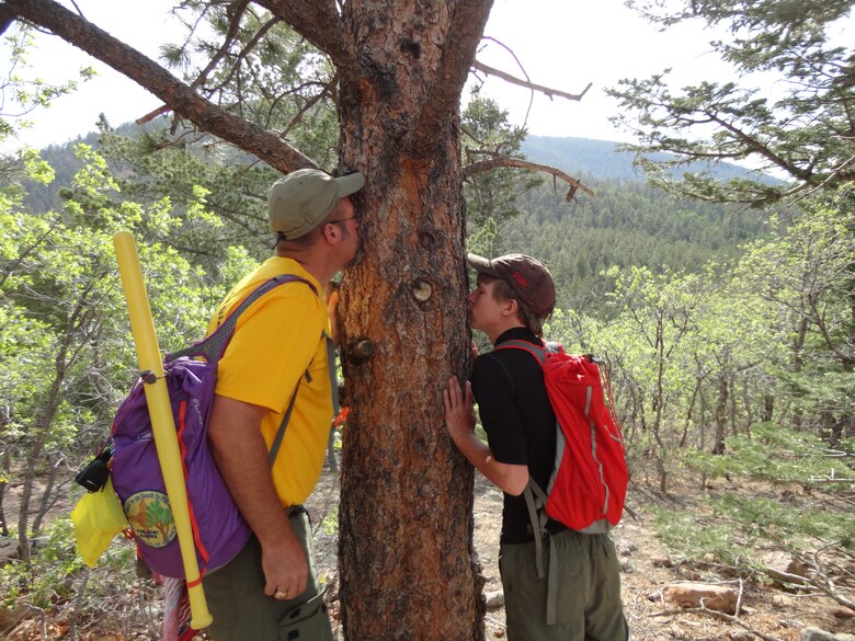 The woods are a great place to learn something new. USACE Park Ranger David Quebedeaux shares with Eagle Scout Brian Ricketson one of the descriptive features of a ponderosa pine tree—the sweet vanilla smell of the bark—during a hike at the Philmont Scout Ranch in New Mexico, June 12, 2013. 