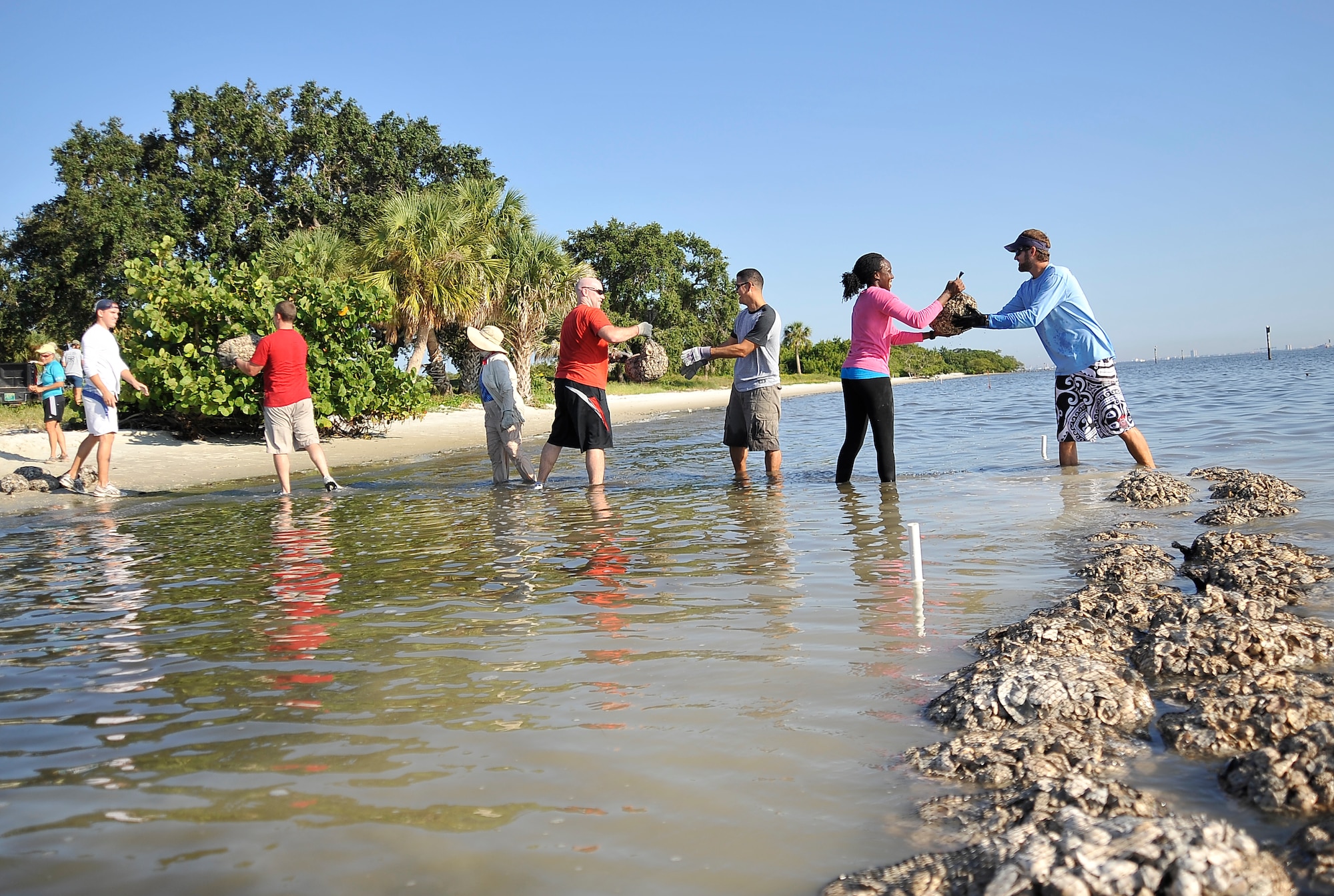 Members of Team MacDill and Tampa Bay Watch work together to build up an oyster reef along MacDill Air Force Base, Fla.’s shoreline Oct. 17, 2013. The reef, made of mesh bags filled with fossilized shells, helps to prevent erosion by trapping sediment once it has passed over the reef and provides a habitat for some sea life. (U.S. Air Force photo by Airman 1st Class Sarah Hall-Kirchner/Released)