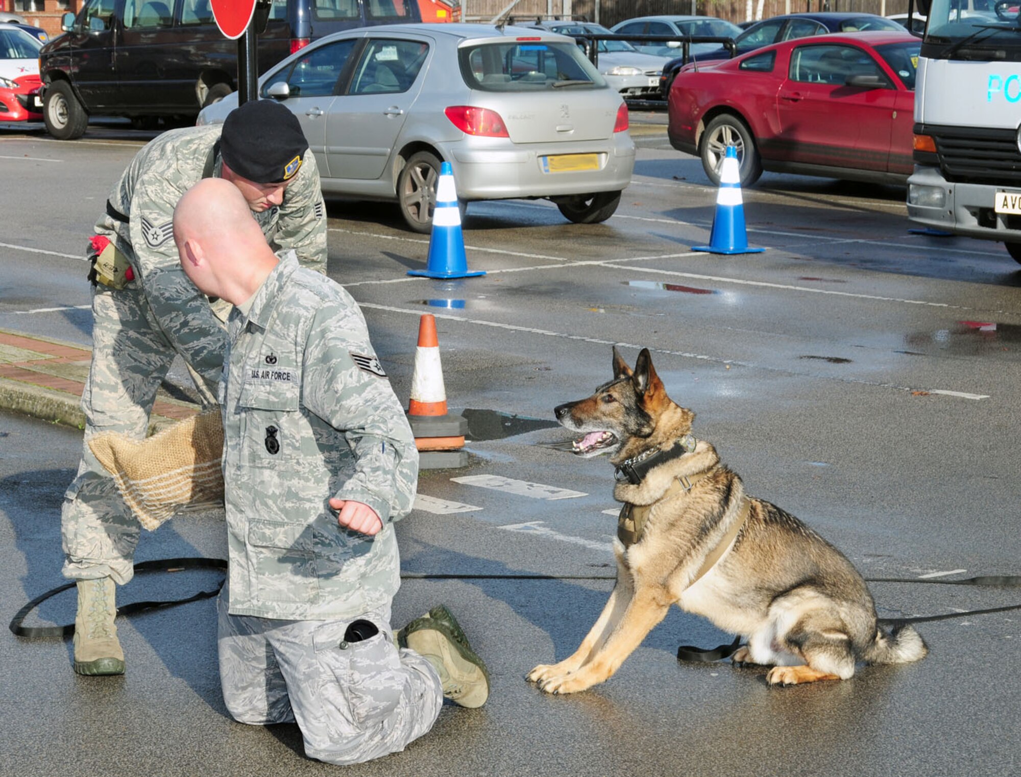 U.S. Air Force Staff Sgt. Barret Chapelle, standing, 100th Security Forces Squadron Military Working Dog handler from Lafayette, La., frisks "suspect" U.S. Air Force Staff Sgt. Jason Laux, 100th SFS MWD trainer from Toledo, Ohio, as MWD Zulton sits on guard to make sure Laux doesn't make a wrong move during a demonstration Oct. 25, 2013, at the BXtra during the Security Awareness Month wrap-up event on RAF Mildenhall, England. Additionally, members of the 100th Air Refueling Wing Information Protection, and Anti-Terrorism offices manned information booths and British police from Suffolk, Norfolk and Cambridgeshire, along with Ministry of Defence Police, attended the event. Team Mildenhall members and their families received advice about vehicle crime and how to avoid theft. (U.S. Air Force photo illustration by Karen Abeyasekere/Released)
