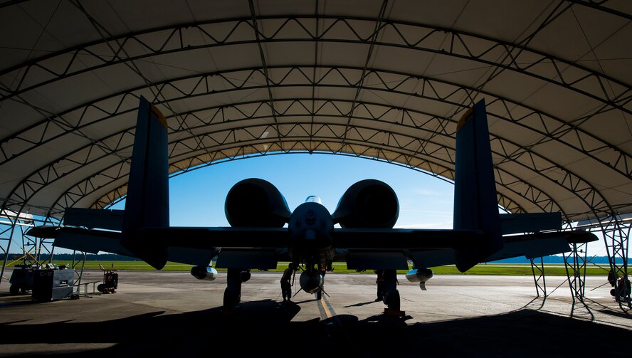 The 81st Fighter Squadron’s flagship A-10C Thunderbolt II undergoes routine preflight inspection prior to being relocated at Moody Air Force Base, Ga., Oct. 23, 2013. U.S. Air Force Lt. Col. Jeffrey Hogan, 23d Wing director of staff and former 81st FS pilot, flew the aircraft to Davis-Monthan AFB, Ariz. where it will replace a similar aircraft destined for the boneyard. (U.S. Air Force photo by Airman 1st Class Ryan Callaghan/Released) 