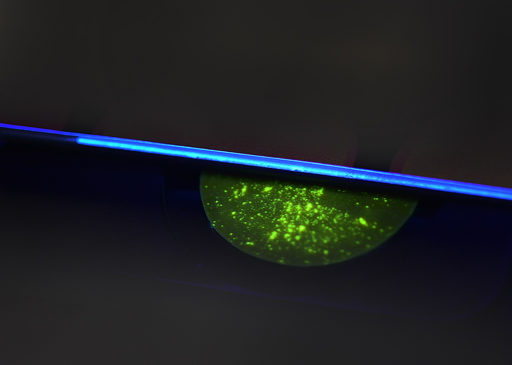 Airmen from the 31st Logistics Readiness Squadron fuels lab inspects jet fuel for water under a black light, Oct. 16, 2013, at Aviano Air Base, Italy. The fuels laboratory ensures the quality of incoming fuel from an outside source by running it through a series of tests. The black light test exposes water contamination by glowing in contrast to the fuel. (U.S. Air Force photo/Airman Ryan Conroy) 