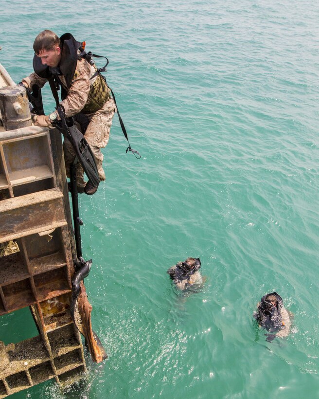 A U.S. Marine assigned to Force Reconnaissance Platoon, Maritime Raid Force, 26th Marine Expeditionary Unit (MEU), climbs a ladder as he conducts an amphibious insertion onto maritime infrastructure while training foreign Marines in the U.S. 5th Fleet area of responsibility, Sept. 1, 2013. The 26th MEU is a Marine Air-Ground Task Force forward-deployed to the U.S. 5th Fleet area of responsibility aboard the Kearsarge Amphibious Ready Group serving as a sea-based, expeditionary crisis response force capable of conducting amphibious operations across the full range of military operations. (U.S. Marine Corps photo by Sgt. Christopher Q. Stone, 26th MEU Combat Camera/Released)