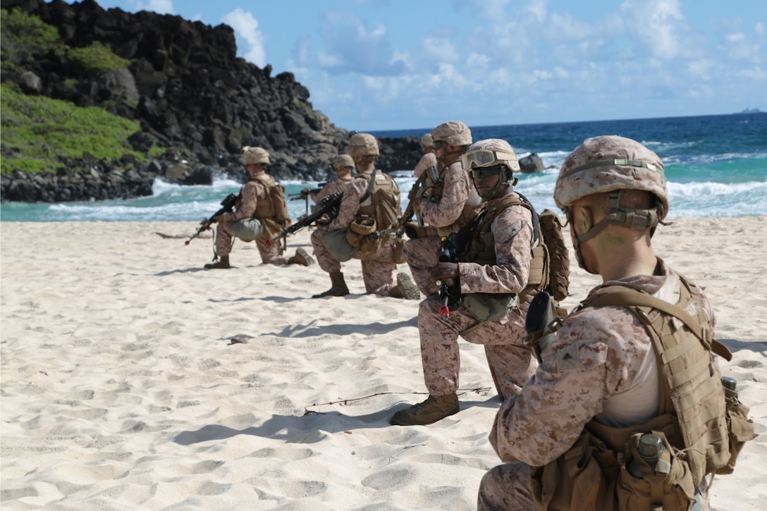 BLT 1/4 hits paradise for Exercise Tropic Thunder