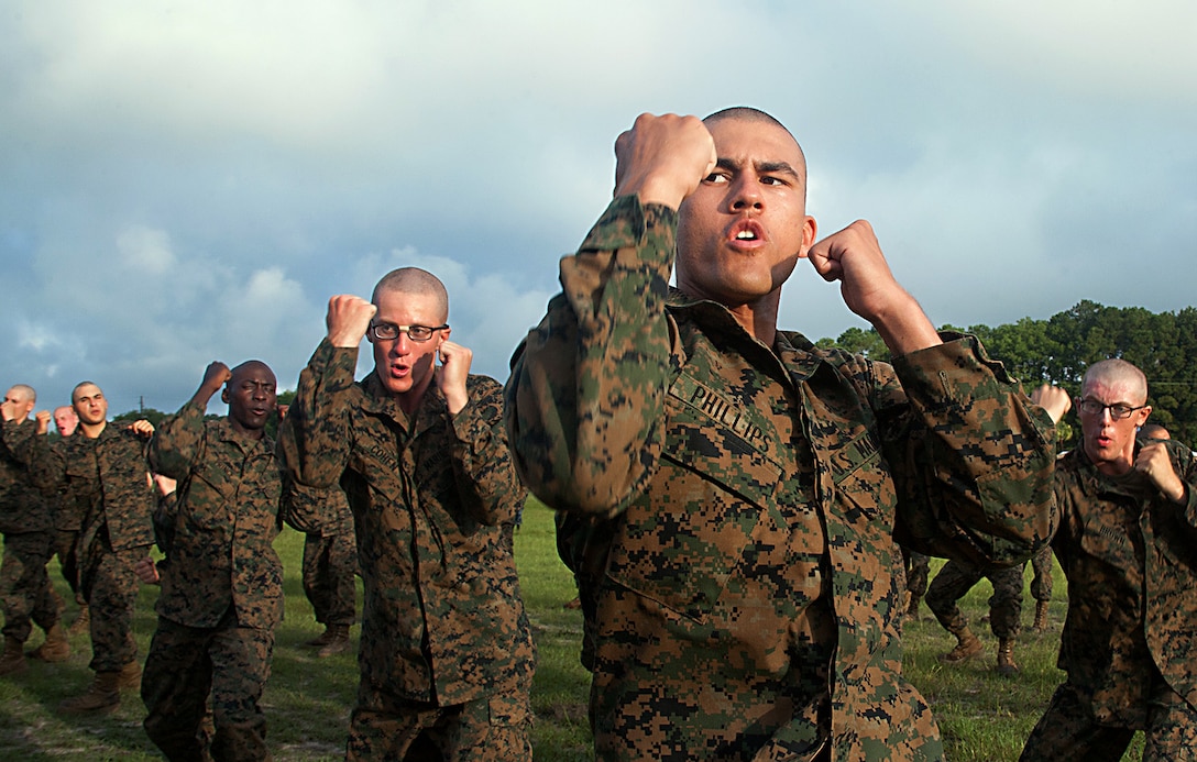 Rct. Kenneth Phillips, 20, Platoon 2057, Fox Company, 2nd Recruit Training Battalion, practices martial arts strikes during a warm-up before a Marine Corps Martial Arts Program endurance course June 20, 2013, on Parris Island, S.C. Drill instructors remediated recruits on martial arts techniques they would use on the course. MCMAP is used to help produce better physically and morally strong Marines. Phillips is from Montgomery, Ala., and is scheduled to graduate Aug. 2, 2013. Approximately 20,000 recruits come to Parris Island annually for the chance to become United States Marines by enduring 13 weeks of rigorous, transformative training. Parris Island is home to entry-level enlisted training for 50 percent of males and 100 percent of for females in the Marine Corps. (Photo by Lance Cpl. David Bessey)
