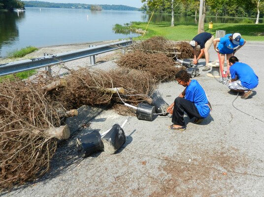 Student Conservation Association team member’s (left to right) Alison Richardson, Darrel Thompson, Erica Nicolay, and Roy Cazares prepare the evergreen fish attractors by attaching concrete weights to the tree bundles at Old Hickory Lake’s Lone Branch Recreation Area in Mt. Juliet, Tenn., Aug. 27, 2013.