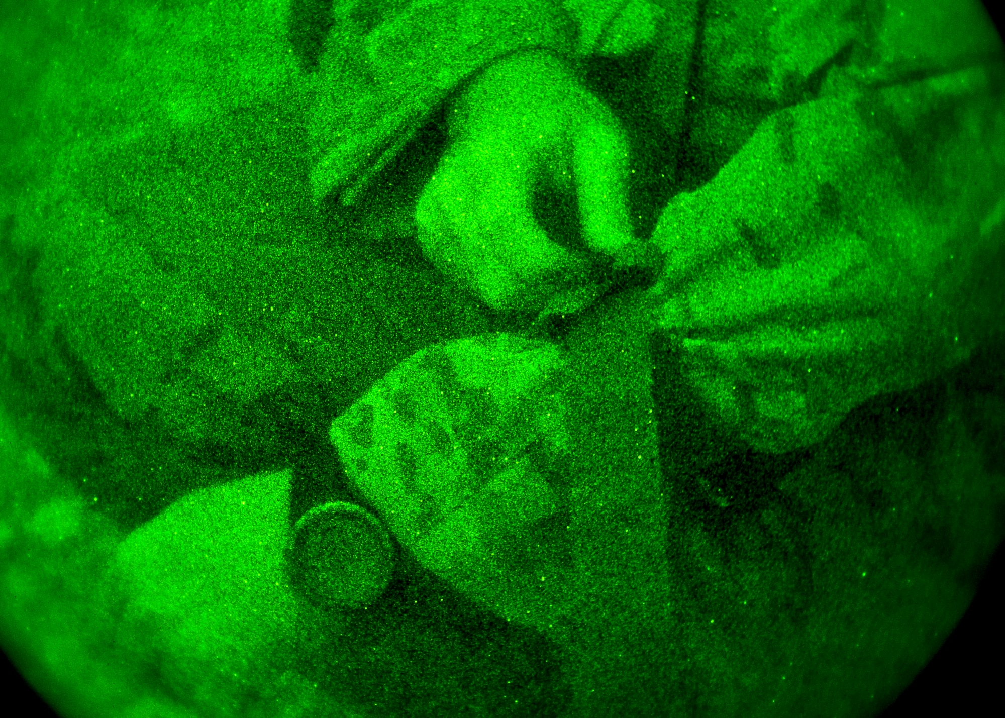 Staff Sgt. Craig Wheeler, 66th Rescue Squadron special missions aviator, applies a tourniquet to himself after a simulated aircraft crash during a survival, evasion, resistance, escape familiarization training Aug. 23, 2013, at Area 2, Nellis Air Force Base, Nev. The students each had a simulated wound they had to self-treat while under stressful conditions. (U.S. Air Force photo/Senior Airman Brett Clashman)