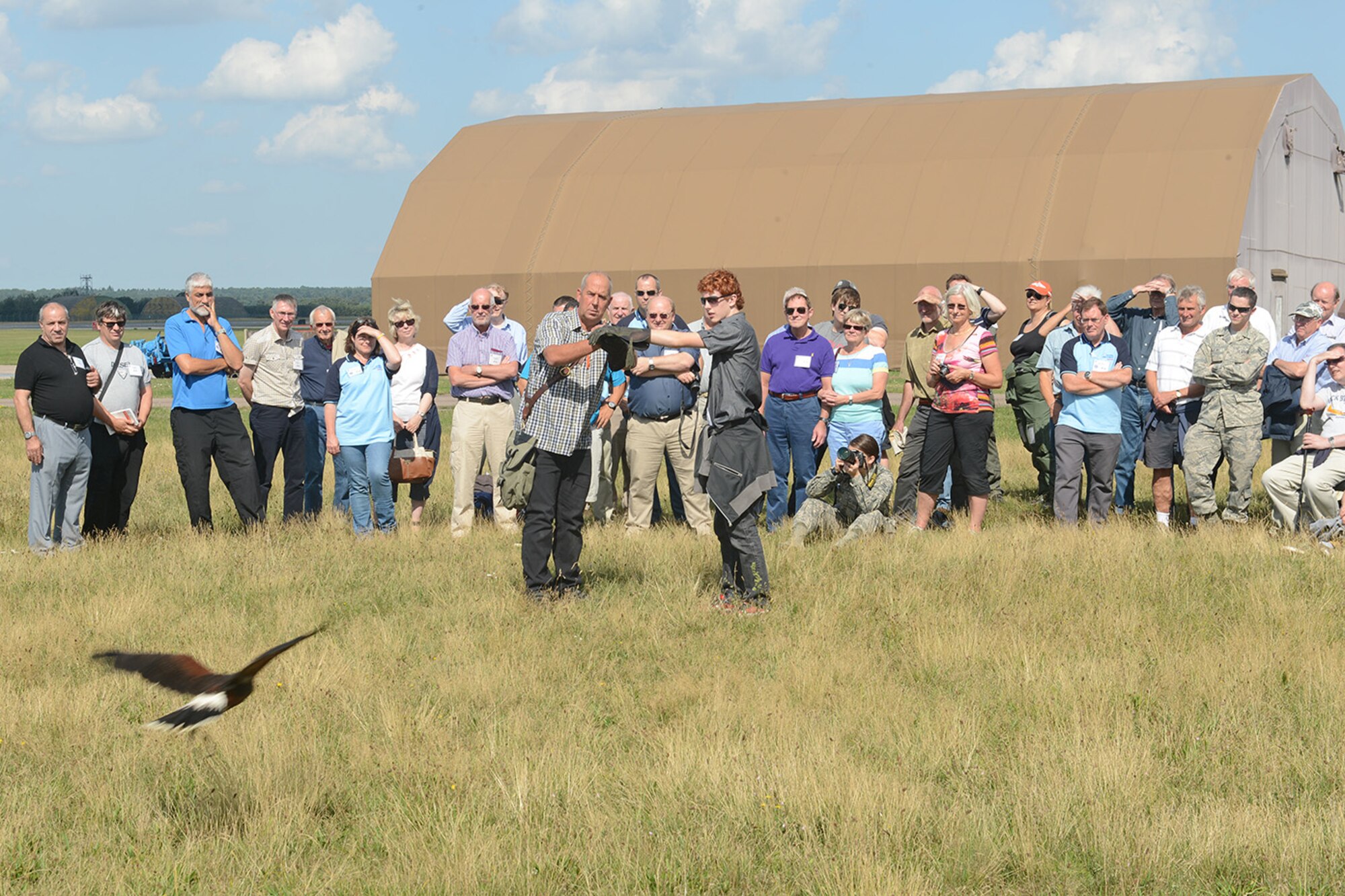 Keith Mutton, Phoenix Bird Control falconer (center left), performs a birds-of-prey demonstration for Royal Air Force Flying Clubs Association members at RAF Lakenheath, England, Aug. 26, 2013. RAFFCA members integrated with Liberty Wing aircrew by participating in a safety discussion,  base tour,  birds-of-prey demonstration and static displays of an F-15C Eagle, HH-60 Pave Hawk and munitions. (U.S. Air Force photo by Airman 1st Class Trevor T. McBride/Released)