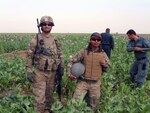 Lt. Col. Russell Clark with his interpreter in an opium poppy field as Afghan National Police (ANP) use sticks to hack off the plants' seed pods before they can be used to make heroin.