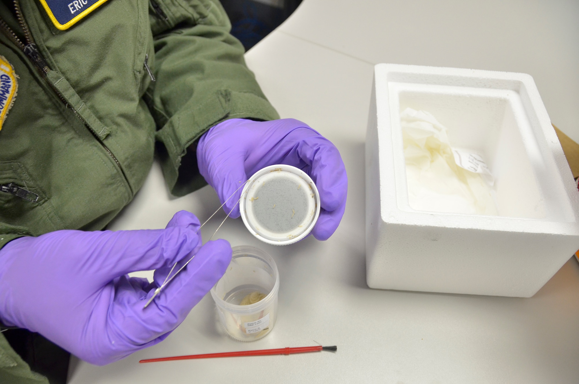 WRIGHT-PATTERSON AIR FORCE BASE, Ohio - Capt. Eric Powell, aerospace physiologist, Department of Aeromedical Research, U.S. Air Force School of Aerospace Medicine, Wright-Patterson Air Force Base, Ohio, experiments with live maggots for use in treating patients in the future. Maggot therapy is used sparingly, and is seen mostly with patients who have wounds that for whatever reason are not responding to conventional treatments and/or antibiotics. (U.S. Air Force photo/Master Sgt. Charlie Miller)