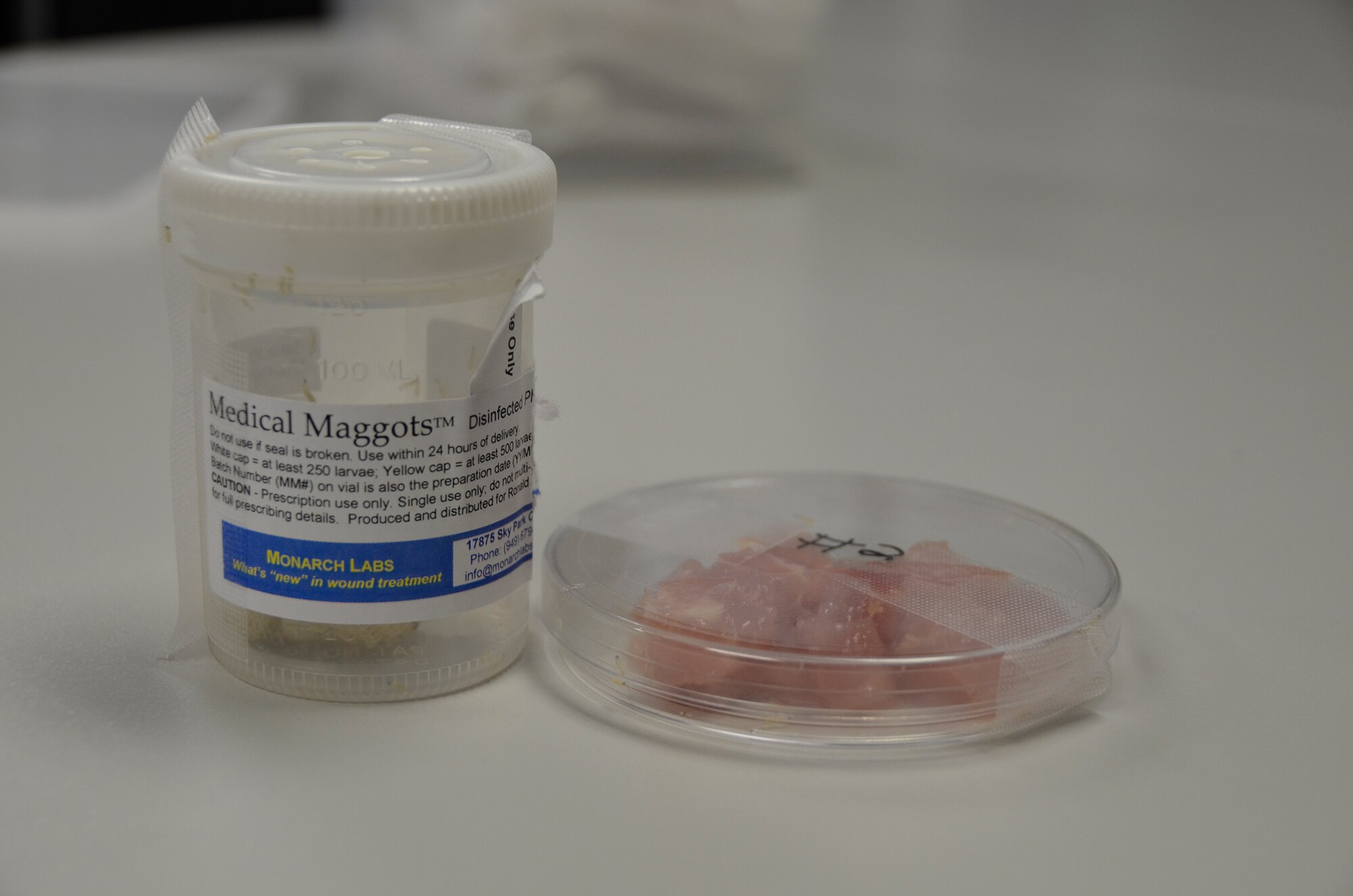 Discover The Power Of Fungi Remover For A Cleaner Home