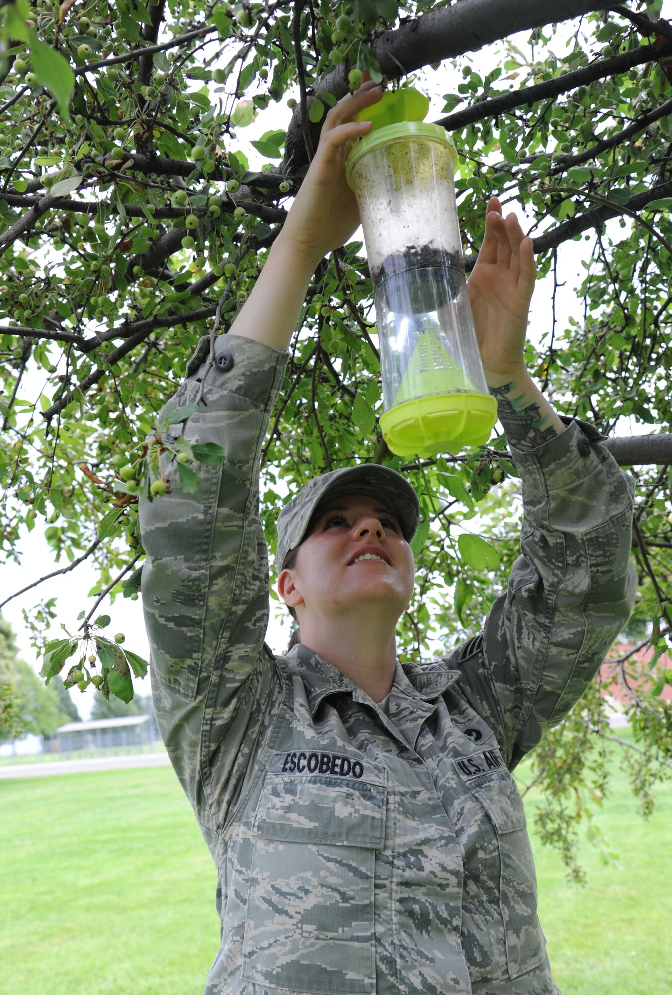 Senior Airman Rachael Escobedo, 92nd Civil Engineer Squadron entomologist journeyman, attaches a wasp trap to a tree at Miller Park at Fairchild Air Force Base, Aug. 23, 2013. Escobedo has been selected as Fairchild's Finest. (U.S. Air Force photo by Senior Airman Samantha Krolikowski/ Released)