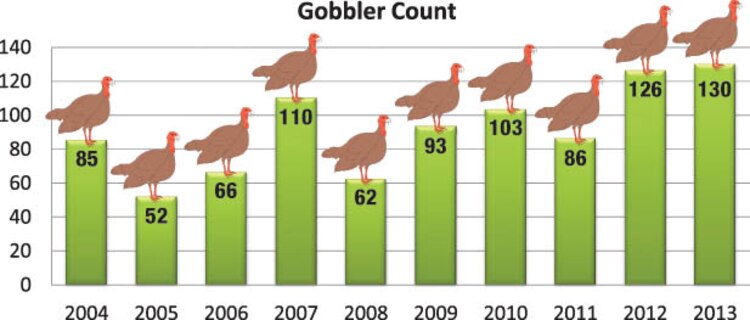 This year's spring gobbler count, which is one indicator of the turkey population, was a record high for Marine Corps Base Quantico. The summer poult count also surpassed previous counts.