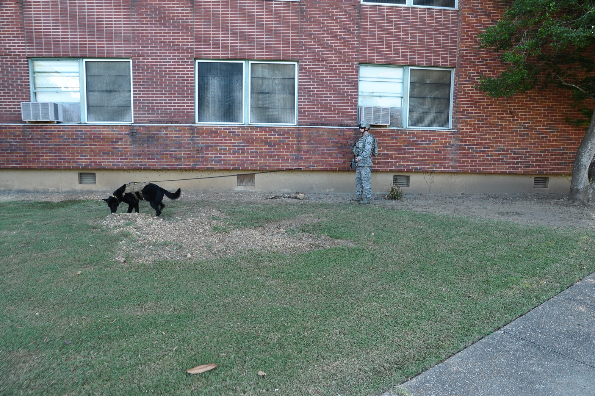 Members of the 14th Civil Engineer Squadron, 14th Security Forces Squadron and the 14th Medical Group traveled to the Mississippi University for Women Sept. 4 to assist in a campus emergency exercise. At exactly 8:22 p.m. two flash-bangs shook the campus and sent student actors(complete with gory makeup done by the 14th MDG)  tumbling to the ground. The Columbus Air Force Base Firefighters assisted with the “casualties” while the 14th Security Forces Squadron and the military working dogs cleared the buildings for explosives. (U.S. Air Force Photo/Airman 1st Class Stephanie Englar)