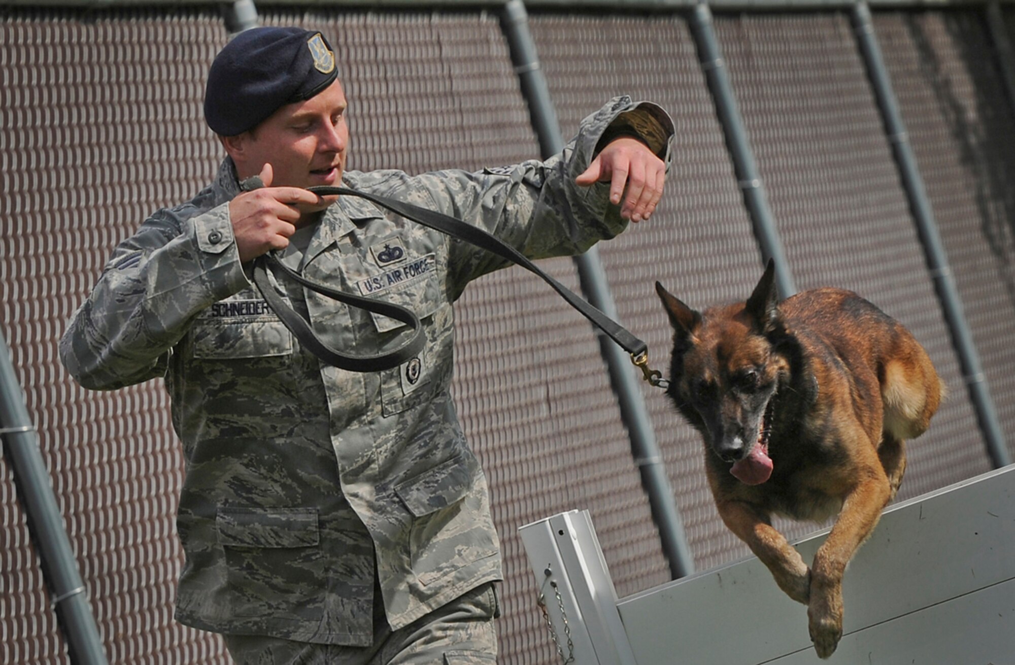 Air Force Staff Sgt. Rob Schneider, assigned to the 673d Air Base Wing Security Forces Squadron, a native of Panama City, Fla., guides Kahn, a Belgian malinois military working dog, over a hurdle during a training session on Joint Base Elmendorf-Richardson, Aug. 26, 2013. Security Forces Airmen continually train with their K9 counterparts to keep their teams flexible to respond to law enforcement emergencies, and for overseas deployments.  (U.S. Air Force photo by Justin Connaher/Released)