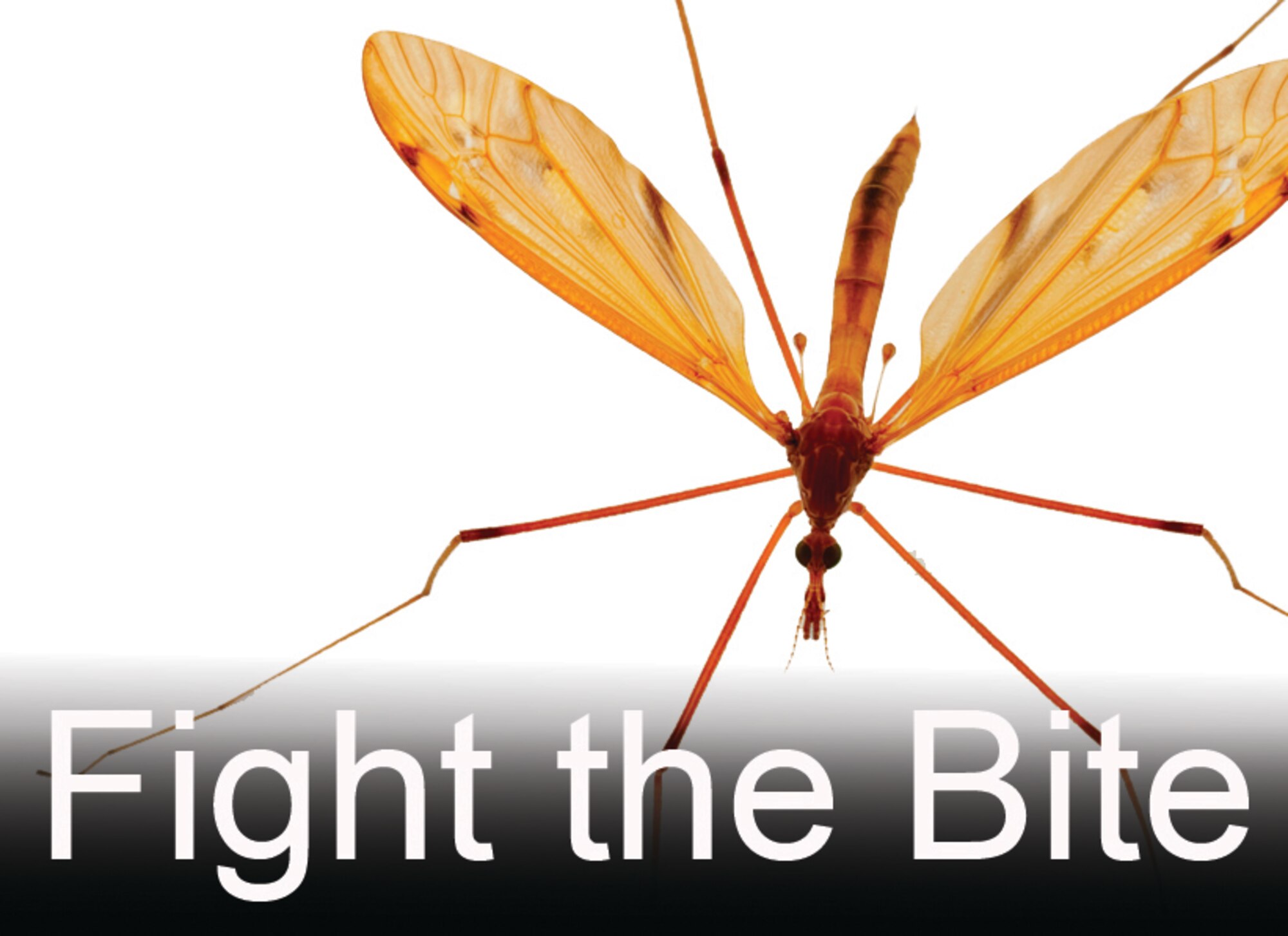 As summer winds down it's still important to prevent sickness and stay on guard against insect-born diseases, like West Nile. 