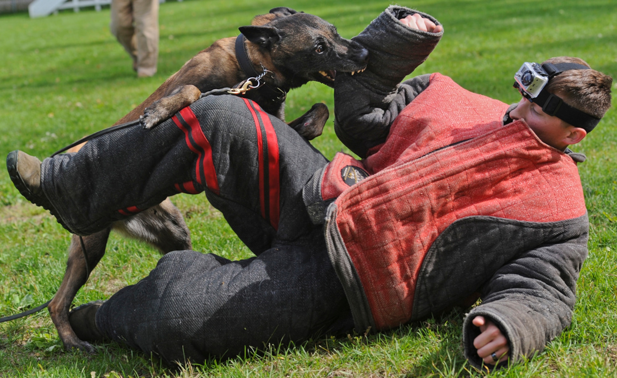 Senior Airman Shawn Witcher, assigned to the 673d Air Base Wing Security Forces Squadron, a native of Mesquite, Texas, struggles with Kimba, a military working dog, after being knocked to the ground by the dog during a training session on Joint Base Elmendorf-Richardson, Aug. 26, 2013. Security Forces Airmen continually train with their K9 counterparts to keep their teams flexible to respond to law enforcement emergencies, and for overseas deployments.  (U.S. Air Force photo by Justin Connaher/Released)