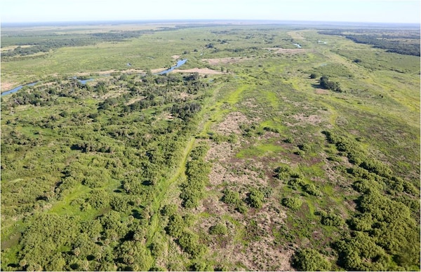 The historic Kissimmee River floodplain, north of Lake Okeechobee, is about 1-3 miles wide. This photo from May 7, 2013 is a view looking north in the Central Phase 1 Kissimmee River restoration area during late dry season conditions. The uplands start at the edge of the floodplain and the boundary is marked by Live Oaks, which show up as dark green areas at the top of the picture. The floodplain here is about 1.5 miles wide, and the water that collects here eventually flows into Lake Okeechobee. 