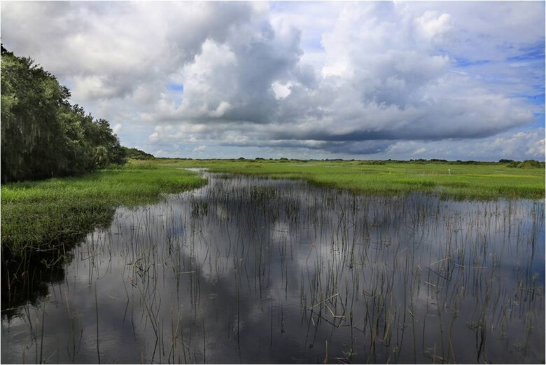 The Kissimmee River floodplain was already full during the early part of the wet season on July 17. Live Oaks on the left mark the uplands at the edge of the floodplain. 