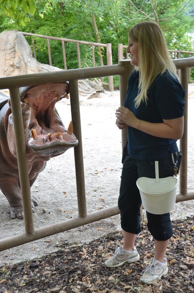 Hippopotamus ‘Liberty’ pleads for more treats from zoo keeper Casey Self in the Ruwenzori section of the Kansas City Zoo, in Kansas City, Mo., Aug. 9, 2013. Self works as a zookeeper for the Kansas City Zoo along with working for the 131st Bomb Wing, Missouri Air National Guard here at Whiteman Air Force Base. (U.S. Air National Guard photo by Airman Halley Burgess/Released)