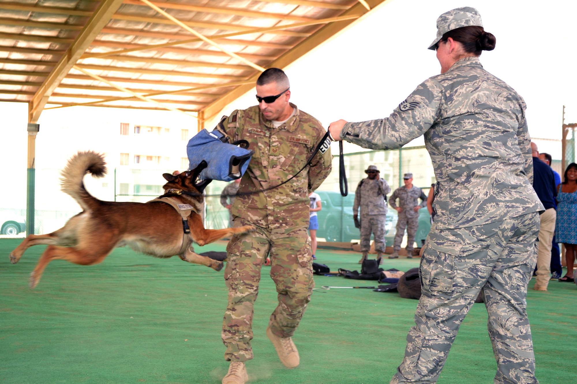 After showcasing the K-9’s aggression capabilities, those in attendance were able to try on various types of training equipment and a few attendees were able to decoy as well during a military working dog demonstration at the 64th Air Expeditionary Group in Southwest Asia, Aug. 23, 2013. Nothing garners more respect than putting on a protective sleeve and feeling the power of these dogs first hand, attendees said. (U.S. Air Force photo/Staff Sgt. Minerva Rosario)