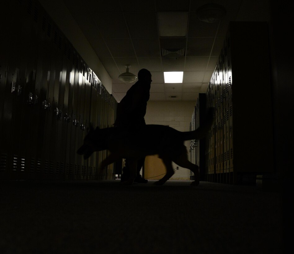 A dog handler from the Connecticut State Police searches for narcotics with the assistance of a trained law enforcement working dog during K-9 re-evaluation and training conducted July 25, 2013, at the Bradley Air National Guard Base, East Granby, Conn.  (U.S. Air National Guard Photo by Senior Airman Emmanuel Santiago)