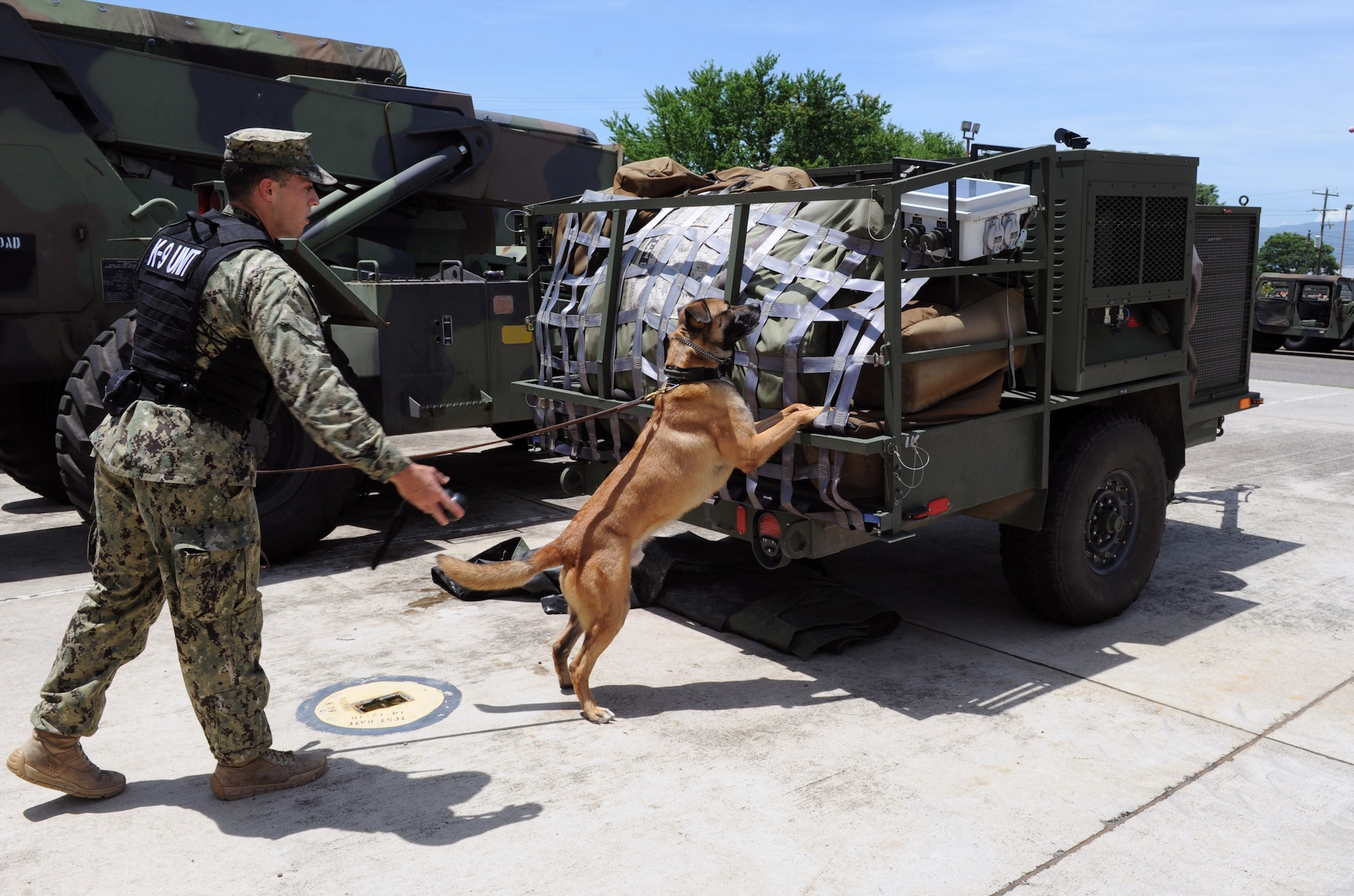 U.S. Navy Master at Arms-3 Class Petty Officer Francisco Cota, JSF dog handler, tosses a reward to the   Belgian Malinois, a military working dog, after it had located an item placed at the post’s motor pull scented with various drug and explosive Sept. 5, 2013. Joint Security Forces’ military working dog handlers performed bomb and drug detection training here in order to keep the MWDs proficient. (Photo released by Mr. Martin Chahin)