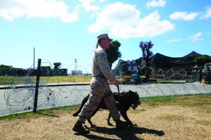 Cpl. Dustin K. Campbell walks the perimeter of the area with his military working dog Aug. 28 at Camp Kinser in support of various exercises. Campbell is a military working dog handler with 3rd Law Enforcement Battalion, III Marine Expeditionary Force Headquarters Group, III MEF.