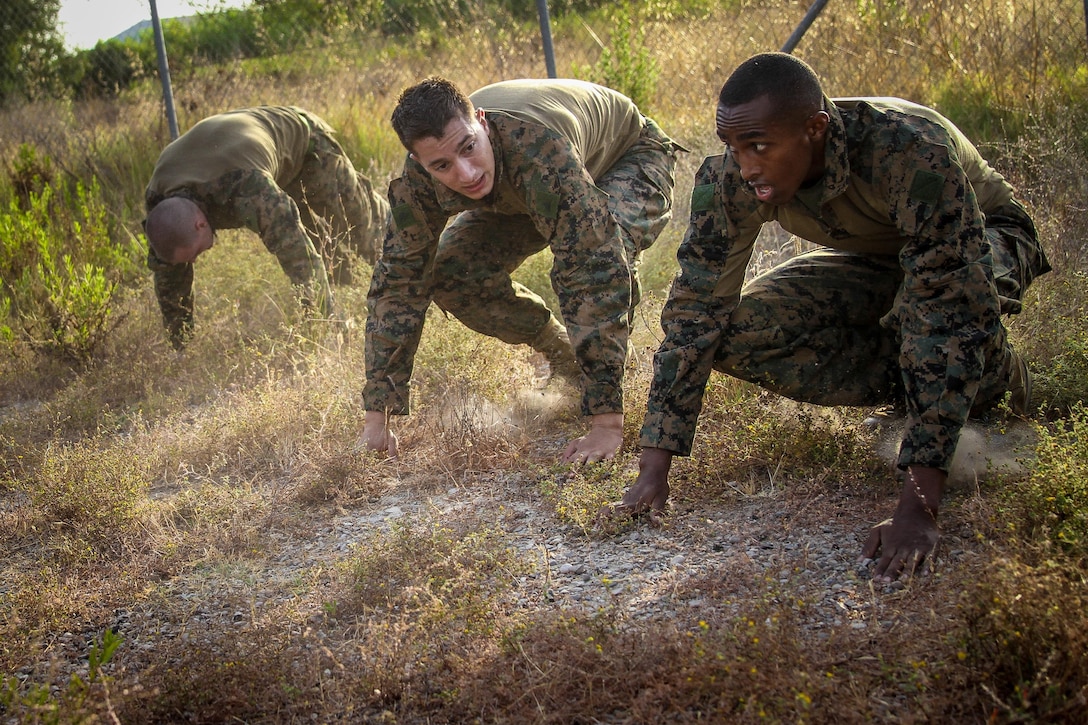 Marines with Africa Partnership Station 13 executed burpees recently. The training was part of an obstacle course during which Marines retained team and morale building techniques. More than 90 Marines and sailors, made up of different military occupational specialties, went through months of various training exercises and courses to ensure the success of APS 13.   