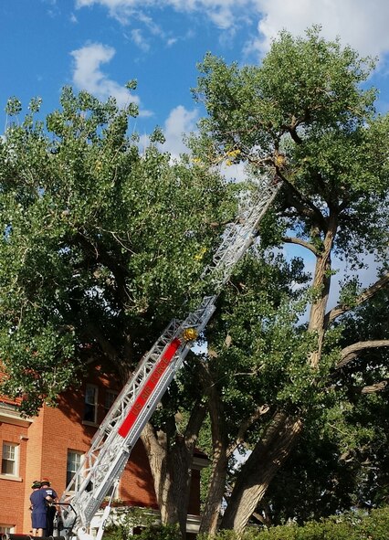 The firefighters of F.E. Warren Air Force Base, Wyo., made a special house call to rescue a cat from a tree Aug. 27, 2013.Senior Airman Rodney Turner, 90th Civil Engineer Fire Department firefighter, scaled the ladder to a height of 60 feet in order to rescue Max from the tree.The Fire department took this as an opportunity to practice ladder training while providing a community service.  (U.S. Air Force photo by Maj. John Dines)