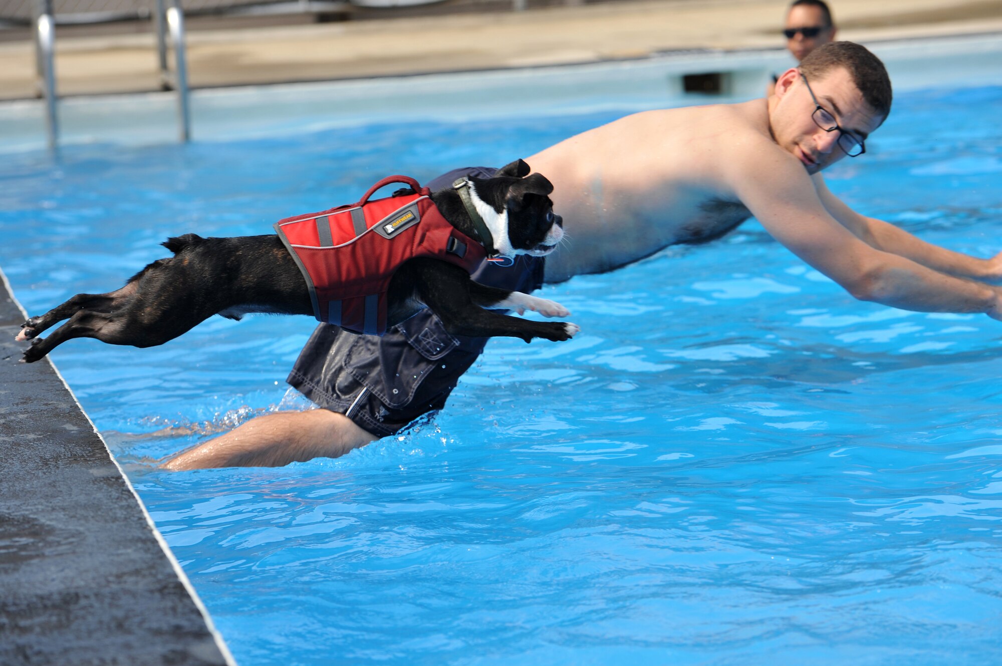 Senior Airman Michael Roman, 303rd Air Force Intelligence, Surveillance and Reconnaissance Agency special signals operator, and his Boston terrier, Mushu, leap into the Defender Pool during Dog Day at Osan Air Base, Republic of Korea, Sept. 8, 2013. The 51st Force Support Squadron reserved the Defender Pool for a day of fun and excitement for dogs and their owners. (U.S. Air Force photo/Staff Sgt. Emerson Nuñez)