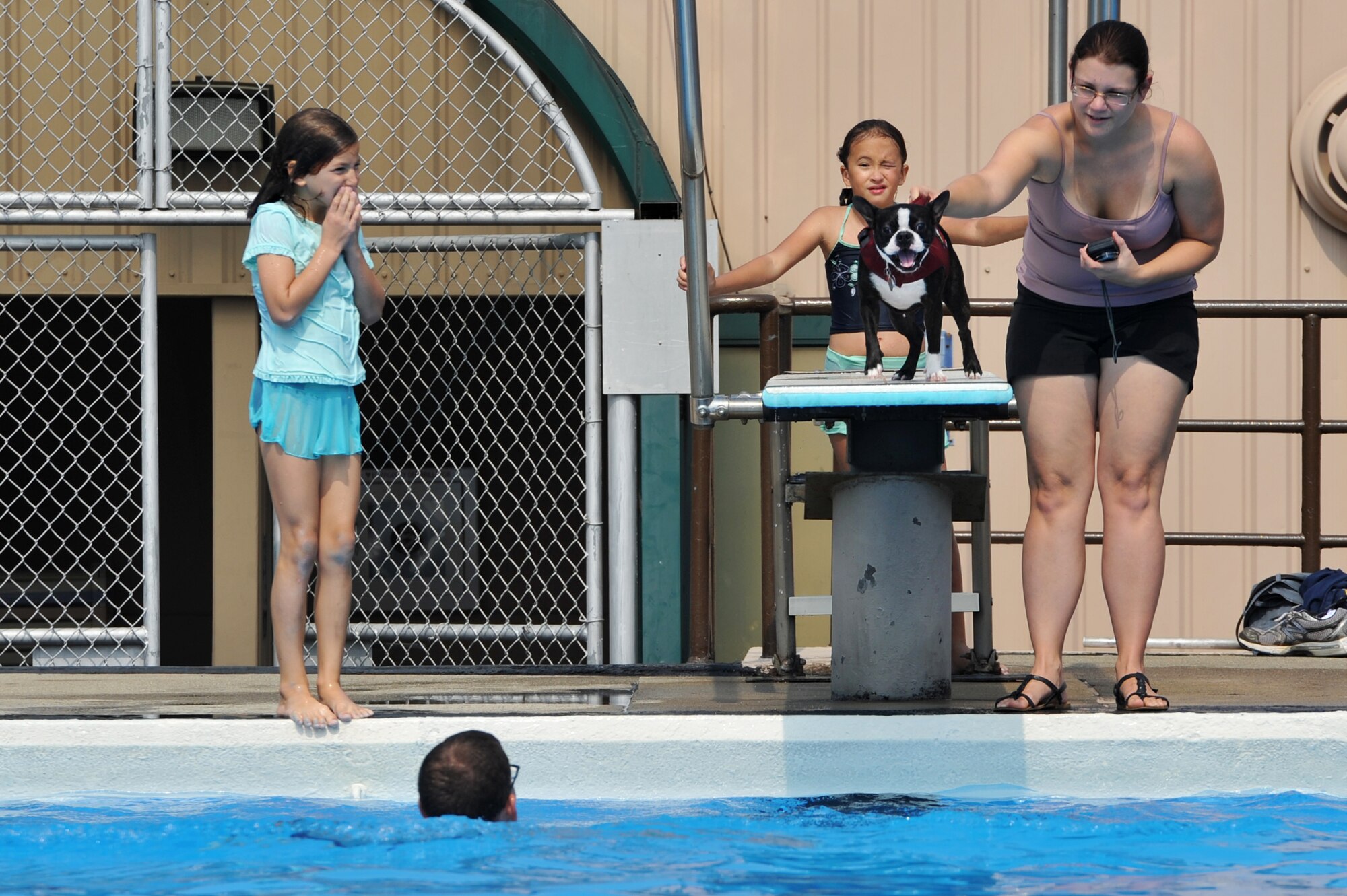 A Boston terrier prepares to jump off a diving board at the Defender Pool during Dog Day at Osan Air Base, Republic of Korea, Sept. 8, 2013. The 51st Force Support Squadron hosted the event for a day of fun and excitement for dogs and their owners. (U.S. Air Force photo/Staff Sgt. Emerson Nuñez)
