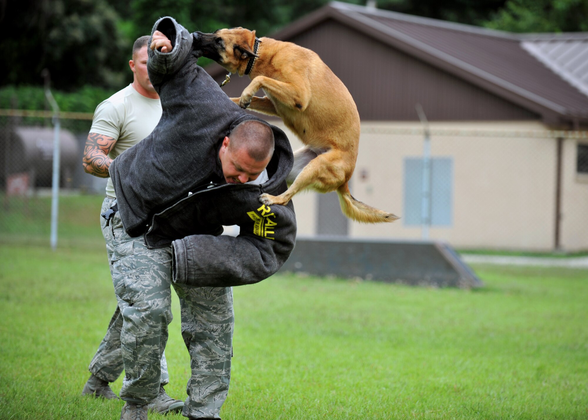 Military Working Dog Emra bites Staff Sgt. Andrew Fischer, 51st Security Forces Squadron MWD handler, during a demonstration for Korean National Police officials at Osan Air Base, Republic of Korea, Sept. 6, 2013. The MWD kennel was the first stop during the KNP and ROK air force security forces member’s tour of the 51st SFS. (U.S. Air Force photo/Senior Airman Siuta B. Ika)