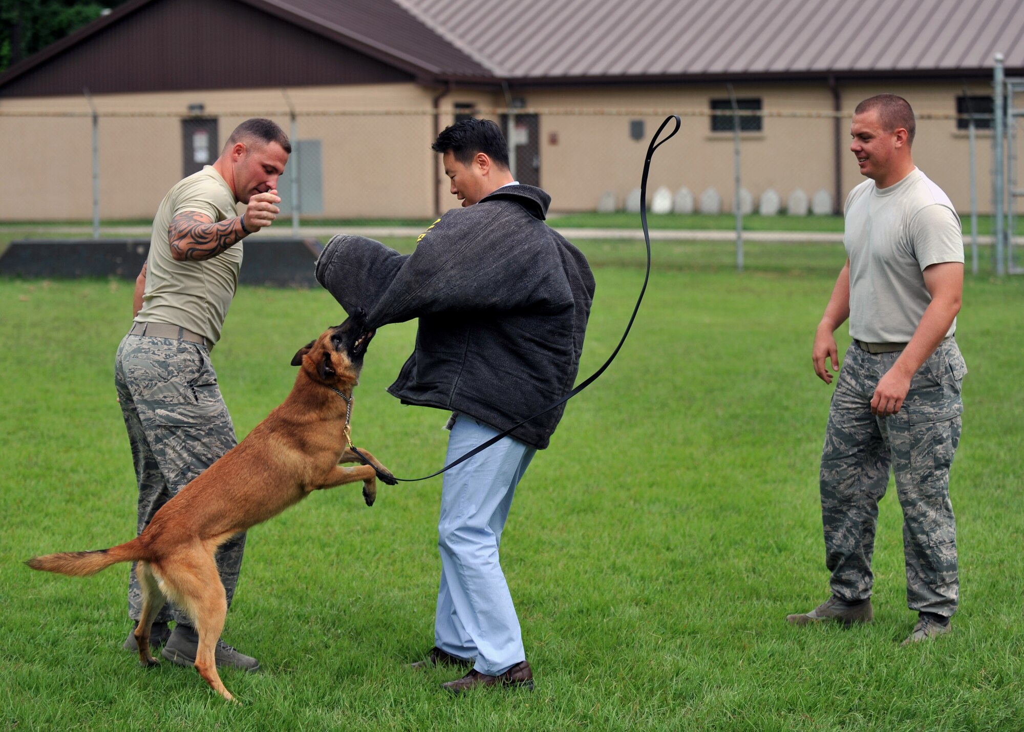 Military Working Dog Emra bites a Korean National Police official during a KNP tour of the 51st Security Forces Squadron at Osan Air Base, Republic of Korea, Sept. 6, 2013. In addition to their visit to the MWD section, the KNP and their ROK air force counterparts toured the 51st SFS headquarters, watched a quick reaction team demonstration, and participated in hands-on live-fire weapon simulation training. (U.S. Air Force photo/Senior Airman Siuta B. Ika)