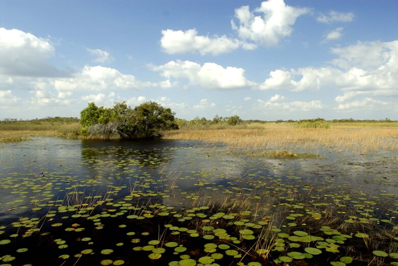 The Arthur R. Marshall Loxahatchee National Wildlife Refuge