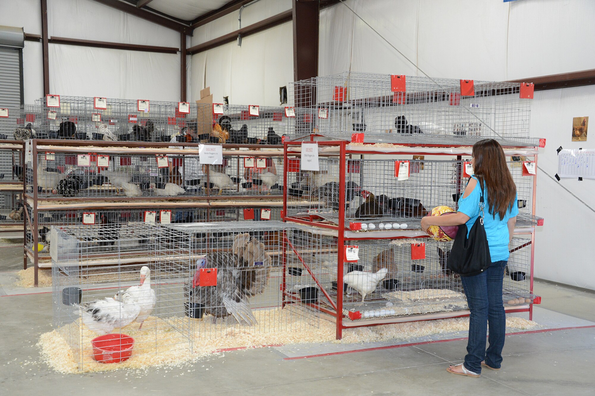 The Small Animal Barn managed by Laura Blank at this year's Antelope Valley Fair in August. (Courtesy photo)