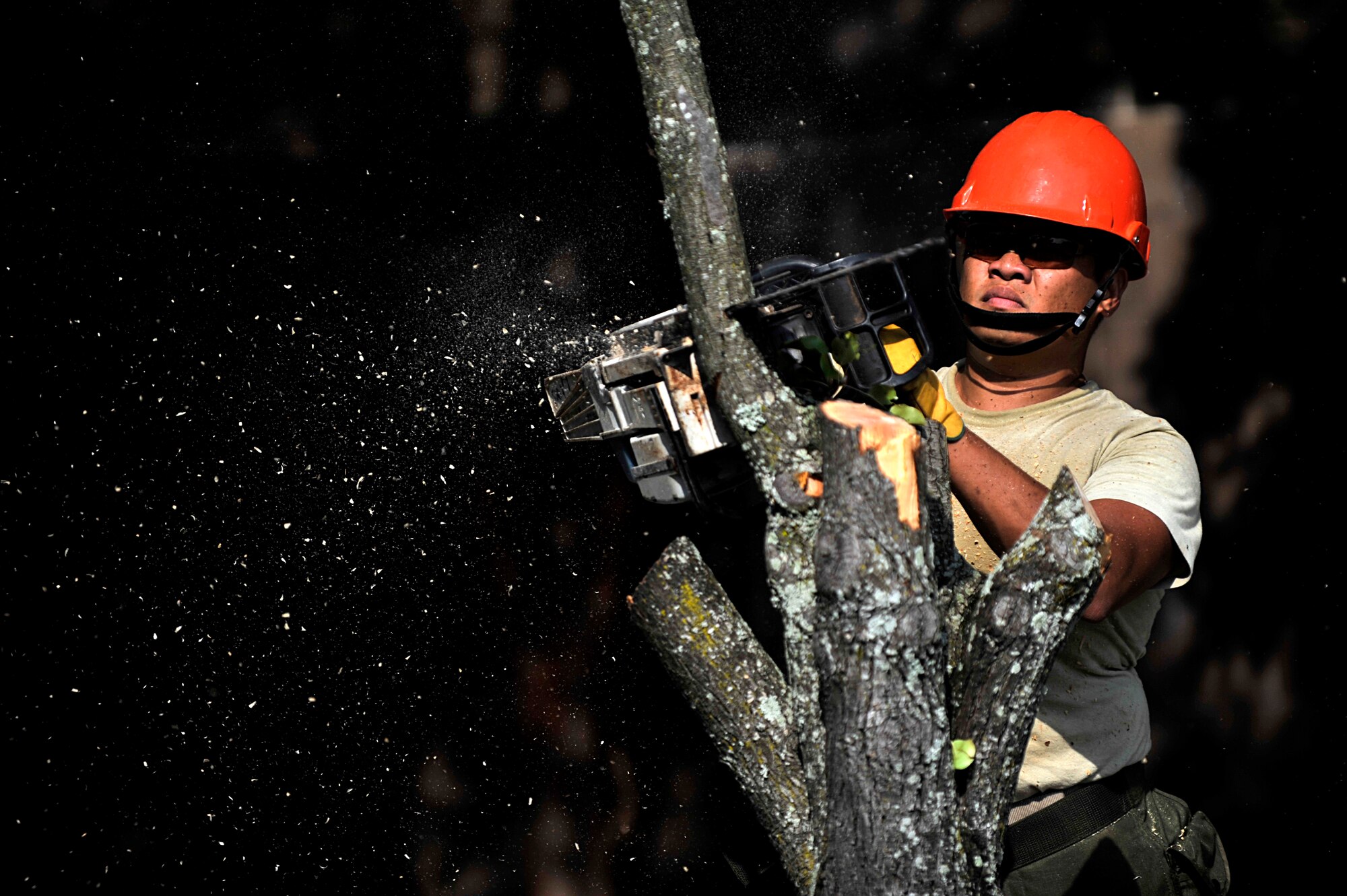 U.S. Air Force Staff Sgt. Edson Aglibut, 20th Civil Engineer Squadron, cuts down a tree with a chainsaw before starting construction work, Shaw Air Force Base, S.C., Sept. 3, 2013. Construction started at the 20th Force Support Squadron building to avoid tripping hazards for patrons and employees entering the facility.  (U.S. Air Force photo by Airman 1st Class Jensen Stidham/Released)