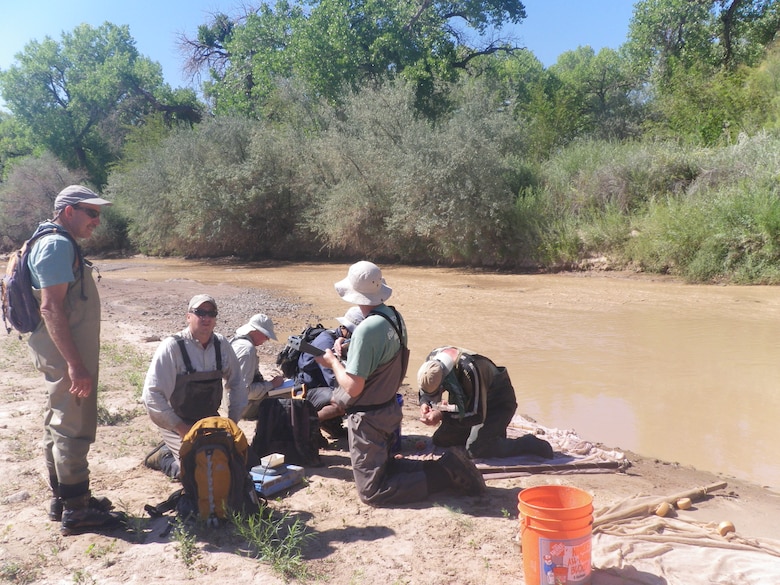 ALBUQUERQUE, N.M., -- (L-R): Mick Porter; Eric Gonzalez; Matt McMillan; Justin Reale; Mike Marcus and Mike Hatch analyze fish from a seine net, Aug. 15, 2013.