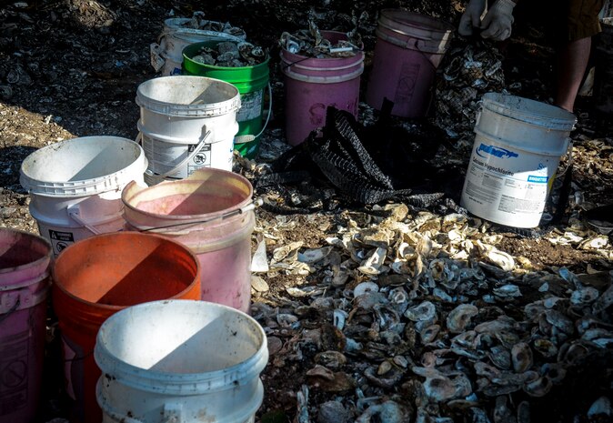 Joint Base Charleston Airmen fill bags with recycled oyster shells Sept. 6, 2013, at the Fort Johnson Oyster Reef Center in Charleston, S.C. The South Carolina Oyster Resoration and Enhancement program uses the bags to create new oyster habitats in the local waters which in turn, improves water quality. Approximately 2,500 service members from JB Charleston participated in the Trident United Way’s Day of Caring, volunteering their skills to assist with more than 50 projects in the local community.  (U.S. Air Force Photo/ 2nd Lt. Alexandra Trobe)