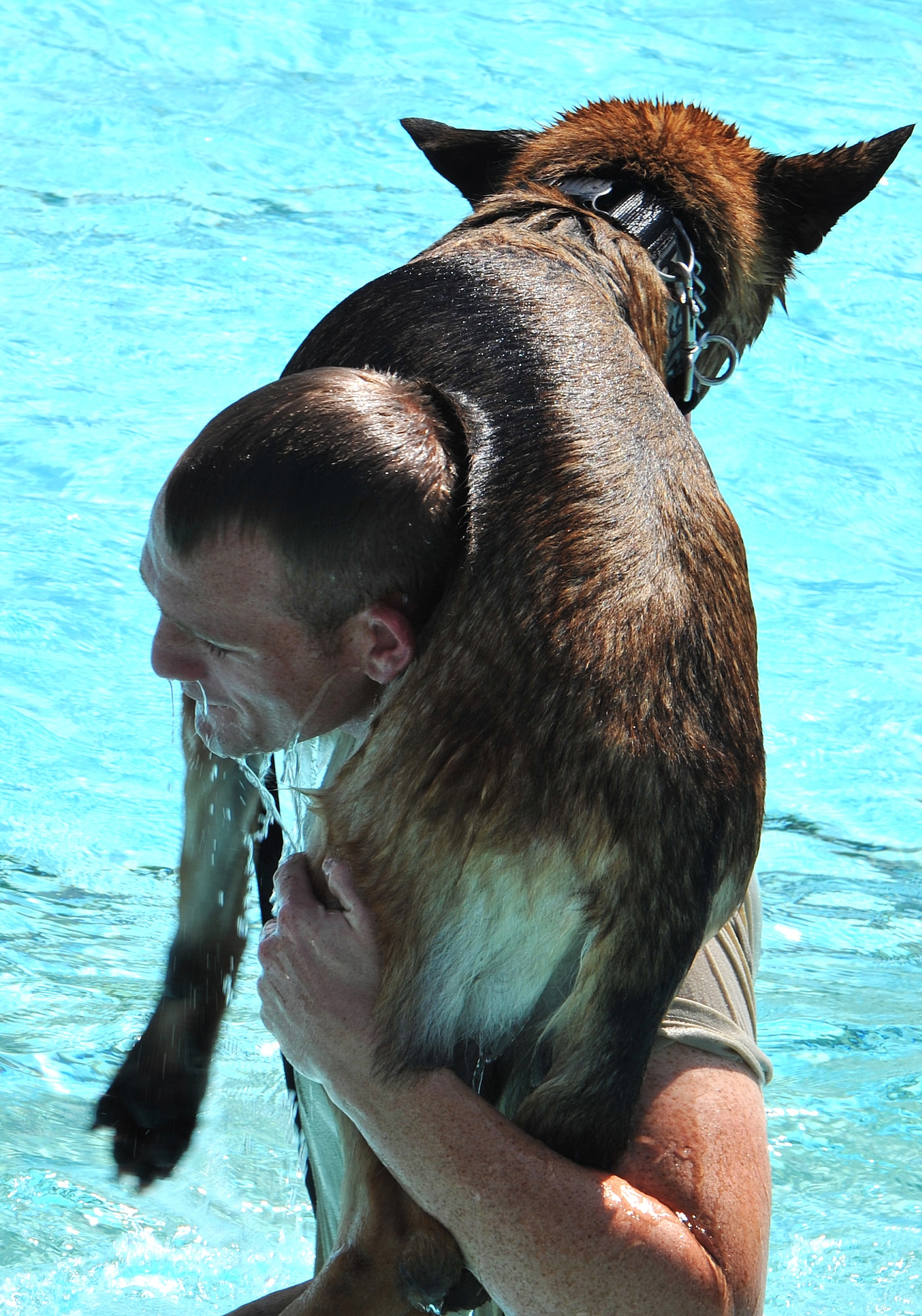 Senior Airman Brian Claypool, 22nd Security Forces Squadron military working dog handler, carries his dog Rakker out of the base pool Sept. 10, 2013, after water-based aggression training at McConnell Air Force Base, Kan. The 22nd SFS MWD section uses the closed base pool once a year to introduce the dogs to water and prepare them for scenarios out of their typical land environment. (U.S. Air Force photo/Staff Sgt. Jess Lockoski)