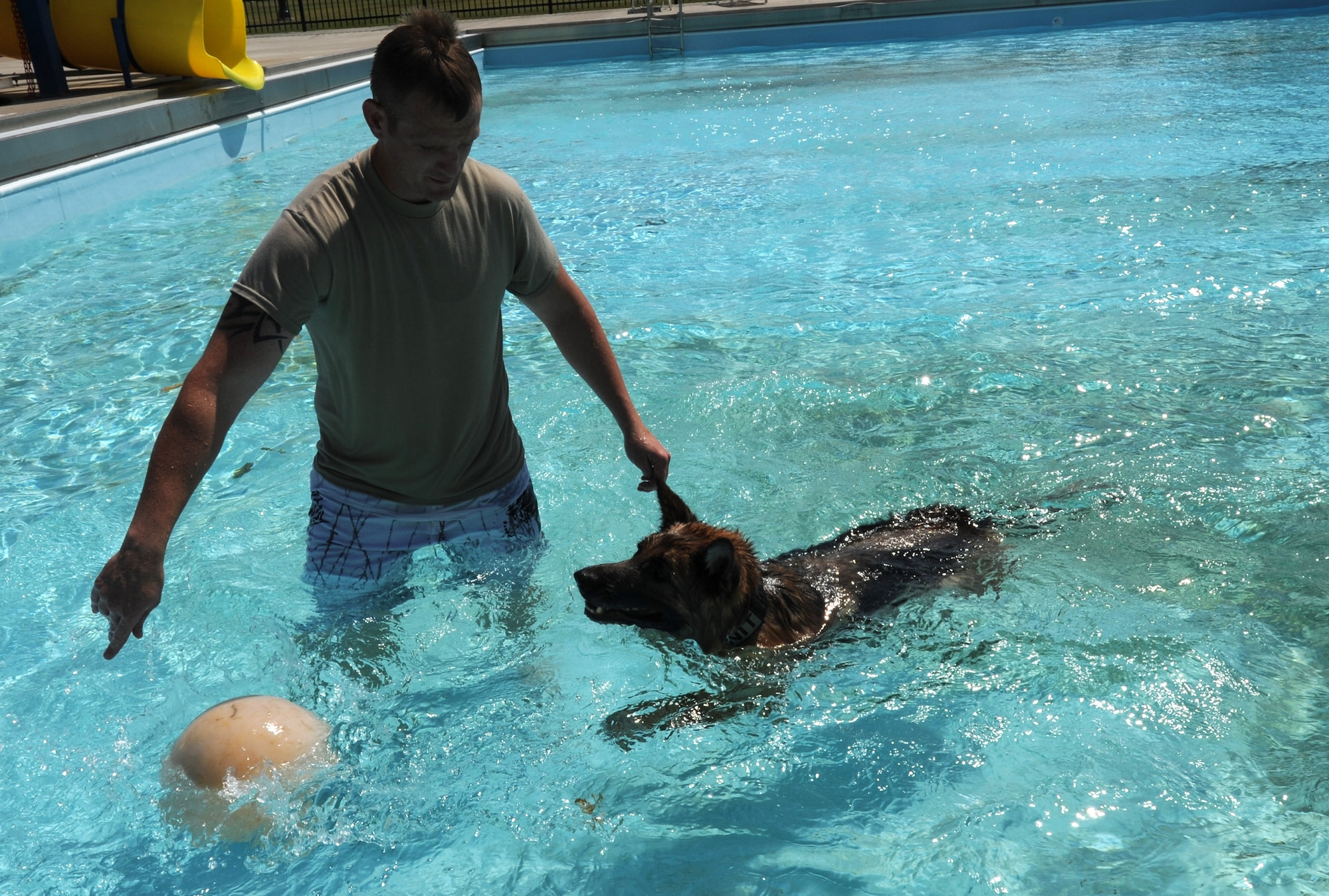 Senior Airman Brian Claypool, 22nd Security Forces Squadron military working dog handler, uses a toy to encourage his dog, Rakker, to swim Sept. 10, 2013, at McConnell Air Force Base, Kan. Dogs assigned to the 22nd SFS kennel section receive specialized training once a year at the base pool to familiarize them with bodies of water and encourage them to properly perform working duties in an environment not typically exposed to. (U.S. Air Force photo/Senior Airman Laura L. Valentine)