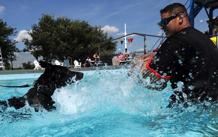 Staff Sgt. Max Soto, 22nd Security Forces military working dog handler, agitates Don, 22nd SFS working dog, during water training, Sept. 10, 2013, at McConnell Air Force Base, Kan. The kennel section trains their dogs once a year at the pool, after it has been closed for the winter season. The MWD section takes advantage of the training when available due to the dogs’ limited exposure to water. (U.S. Air Force photo/Senior Airman Laura L. Valentine)