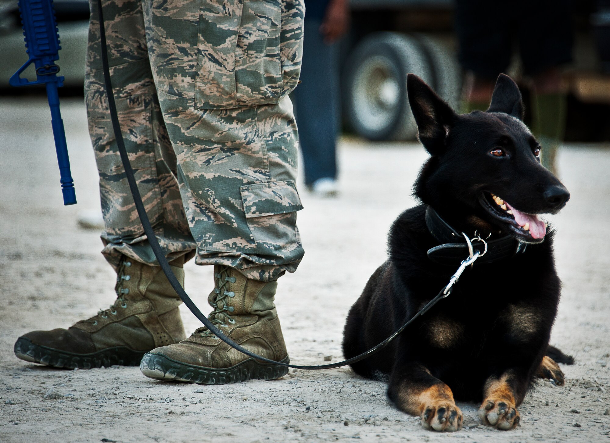 A 96th Security Forces Airman and his K-9 partner wait to begin the Fallen Defender Ruck March Sept. 11 at Eglin Air Force Base, Fla.  More than 200 military members and civilians came out to walk or run the 4-mile trail and pay respect to fallen security forces Airmen along the way.  (U.S. Air Force photo/Samuel King Jr.)
