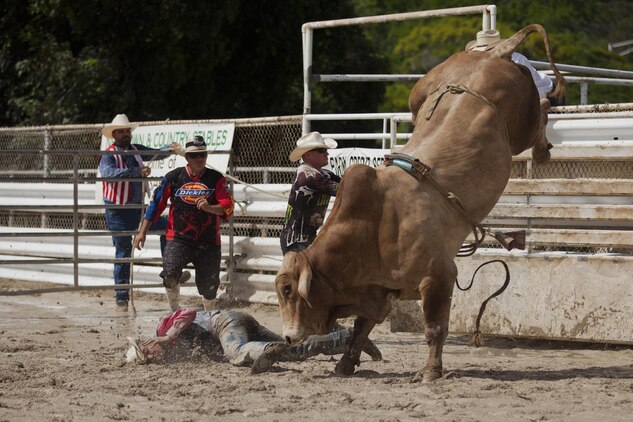 Dustin Tucker, a competitor in a bull riding competition, gets bucked off of his bull and lands in mud during the inaugural Surf & Turf Buck & Bull Event & Concert at the New Town & Country Stables in Waimanalo, Hawaii, Sept. 7, 2013. (U.S. Marine Corps photo by Lance Cpl. Matthew Bragg)
