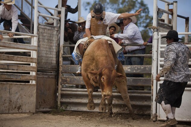 Colt Brennan, former quarterback for the University of Hawaii, bucks with a bull for charity during the inaugural Surf & Turf Buck & Bull Event & Concert at the New Town & Country Stables in Waimanalo, Hawaii, Sept. 7, 2013. (U.S. Marine Corps photo by Lance Cpl. Matthew Bragg)
